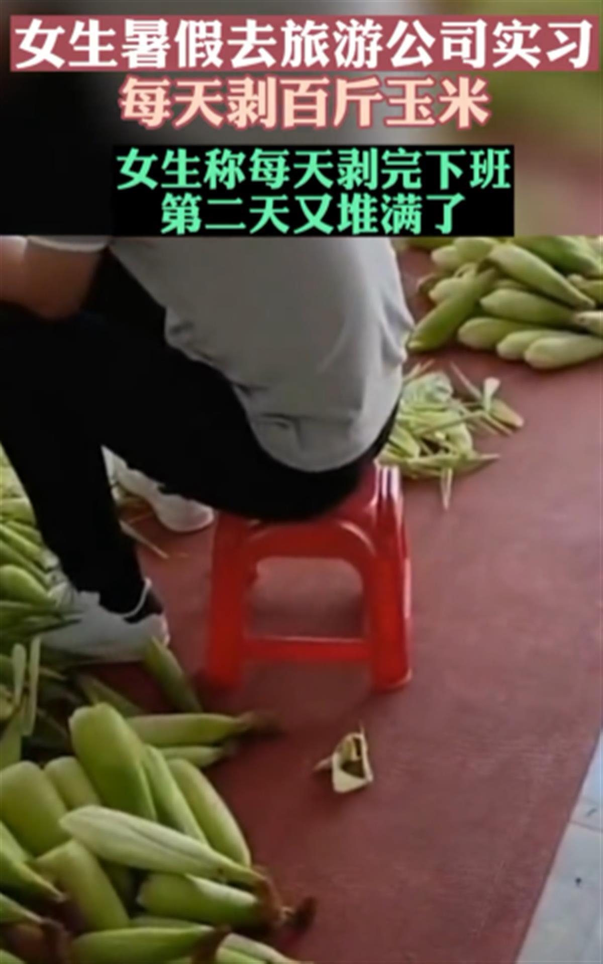 网传女生旅游公司实习每天剥玉米（网络视频截图）